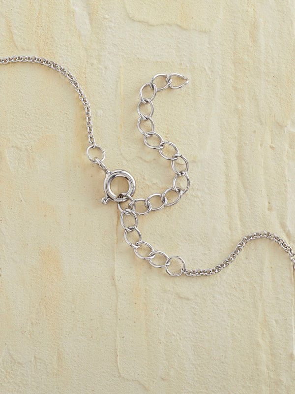 Mother and Child Turtle Necklace