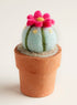 Hand-felted Mini Cactuses