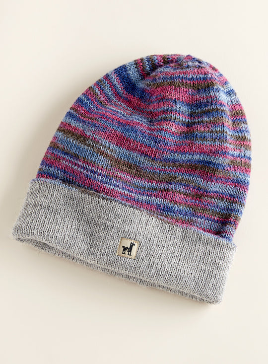 Winter Warmer Reversible Beanie