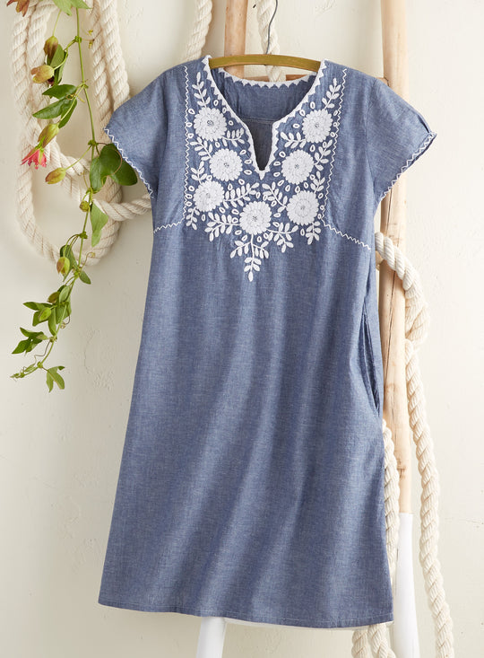 Blue Skies Chambray Shift Dress